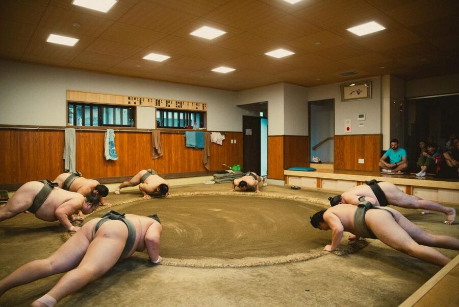 Tokyo: Sumo Morning Practice Tour at Sumida City - The stable master’s question-and-answer session