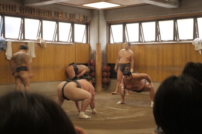 Tokyo Sumo Morning Practice Tour w/ Ring-Side Seat + Photo Shoot - Watching 90 minutes of real training