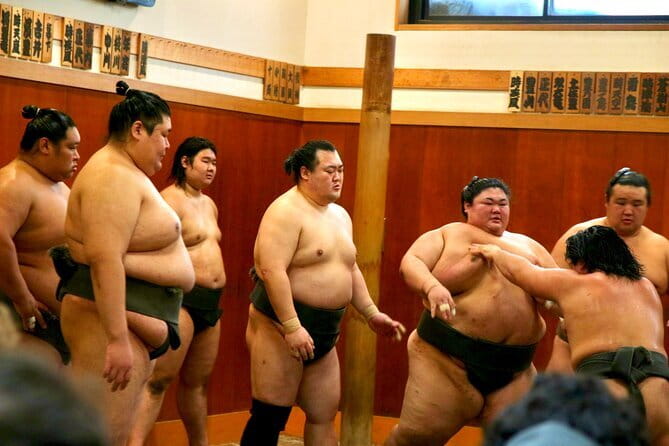 Tokyo Sumo Morning Practice: Viewing & Exclusive Interaction - Why a morning at a sumo stable feels different