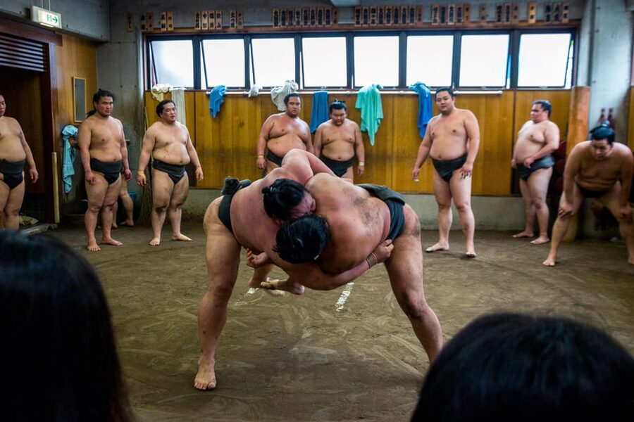 Tokyo: Sumo Morning Practice Viewing Tour - Why a sumo stable is worth your morning