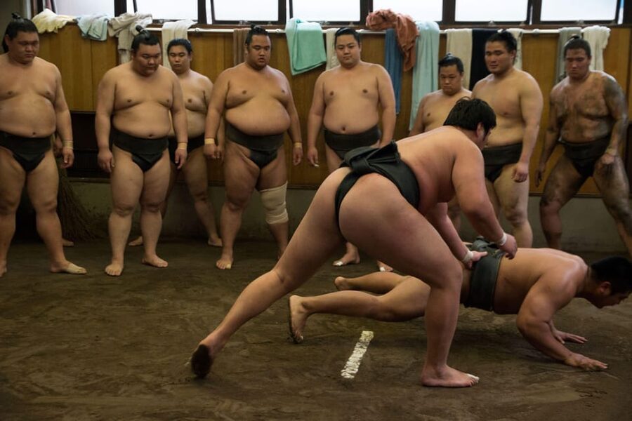 Tokyo: Sumo Morning Practice Viewing Tour - Entering the stable and taking your seat