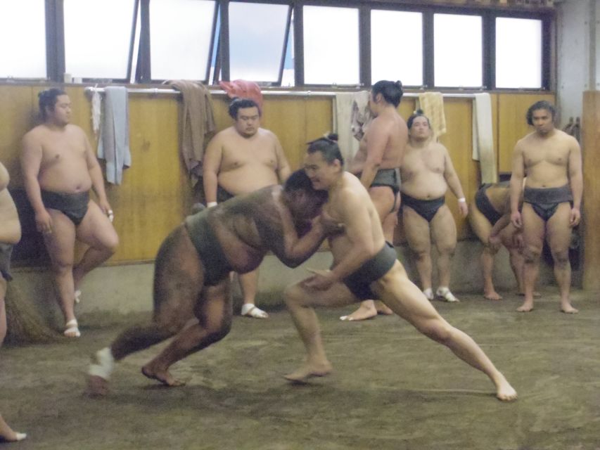 Tokyo: Sumo Morning Practice Viewing Tour - Learning without breaking the silence