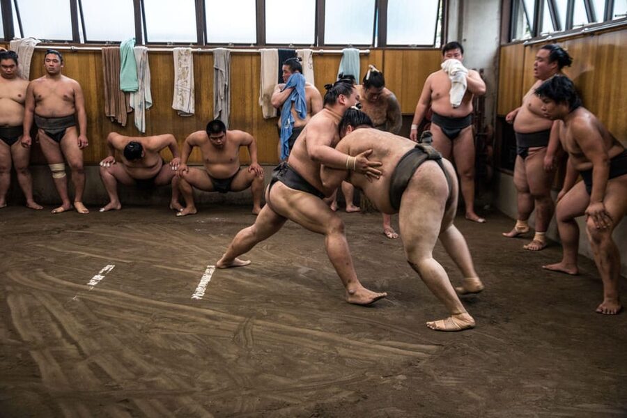 Tokyo: Sumo Morning Practice Viewing Tour - Famous wrestlers and stable differences