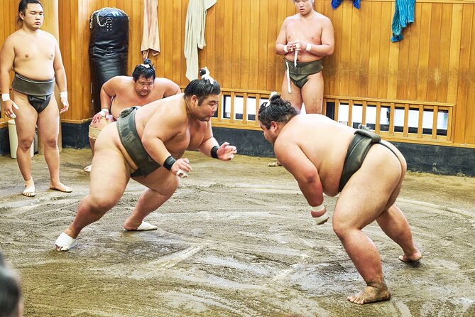 Tokyo: Sumo Morning Practice Viewing Tour at a Real Stable - Key points at a glance