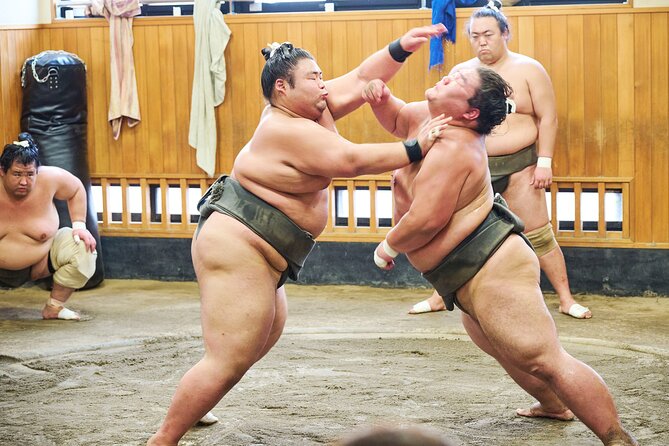 Tokyo: Sumo Morning Practice Viewing Tour at a Real Stable - Why a real stable matters more than a sumo show