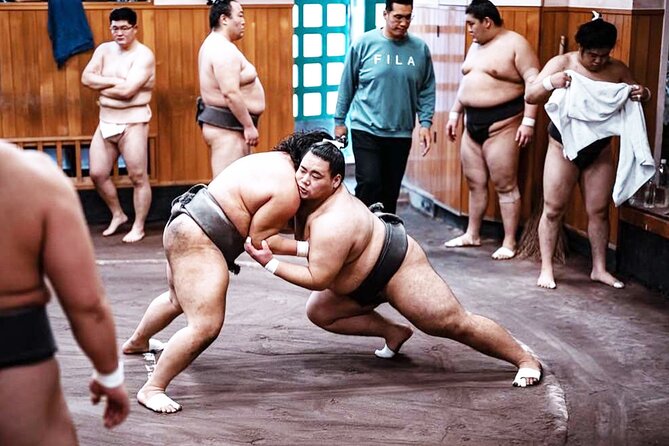 Tokyo: Sumo Morning Practice Viewing Tour at a Real Stable - What the price means at $118.92
