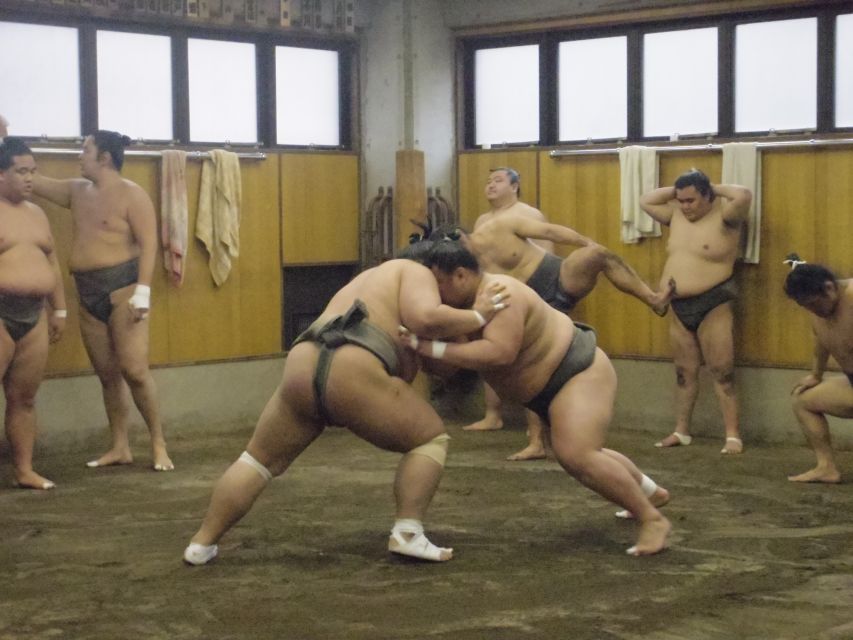 Tokyo: Sumo Morning Practice Viewing Tour - Meeting in Ryogoku, Tokyo’s sumo neighborhood