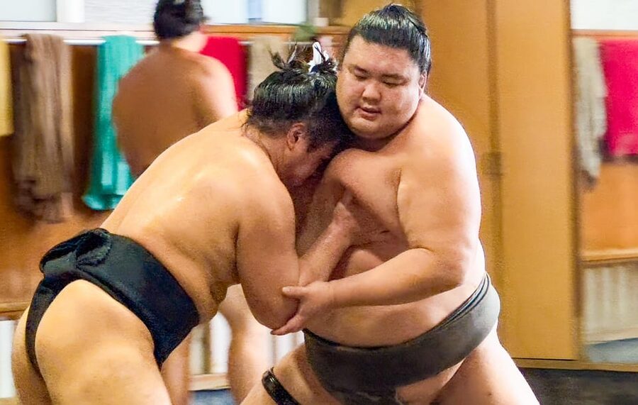 Tokyo: Sumo Morning Practice with journalists. Not fake show - What makes this sumo morning special