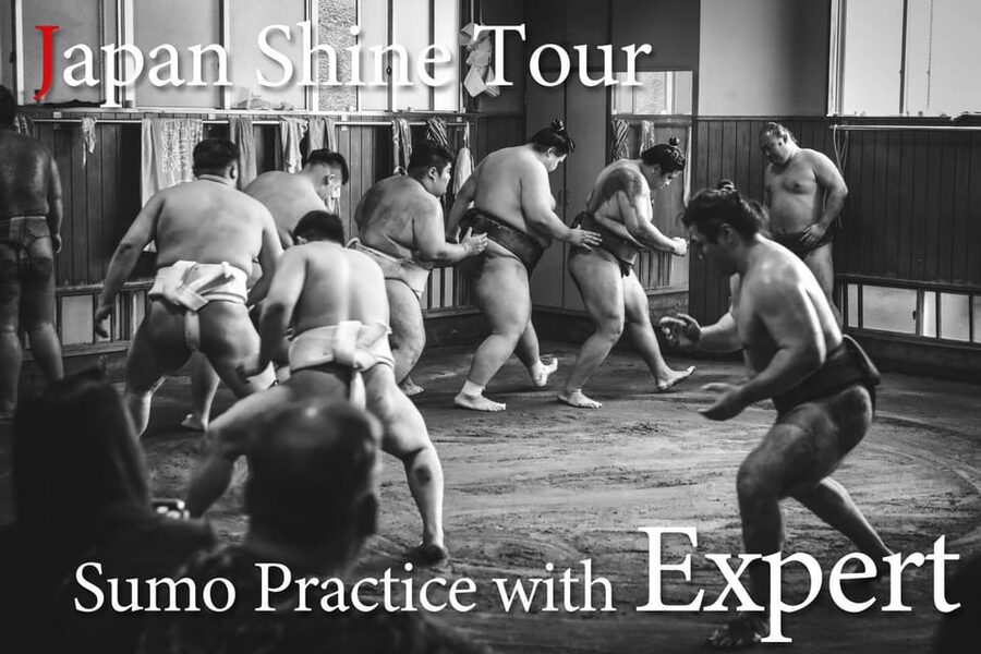 Tokyo: Sumo Morning Practice with journalists. Not fake show - What the practice reveals about sumo