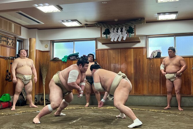 Tokyo Sumo Morning Training/ Sumo Practice with Wrestlers - What you are really buying for $99.10