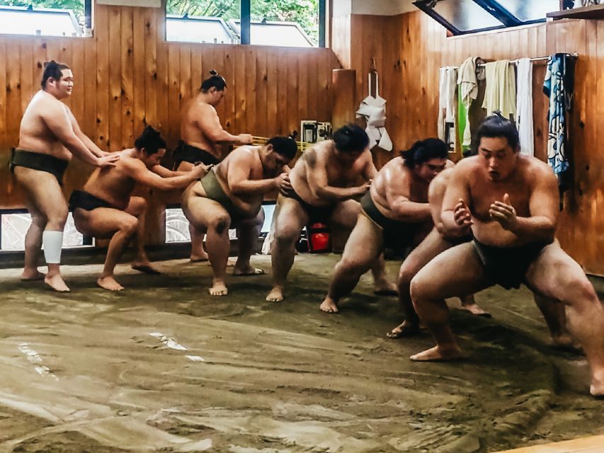 Tokyo: Sumo Morning Training Visit - The Guide and What You May Need to Learn Yourself