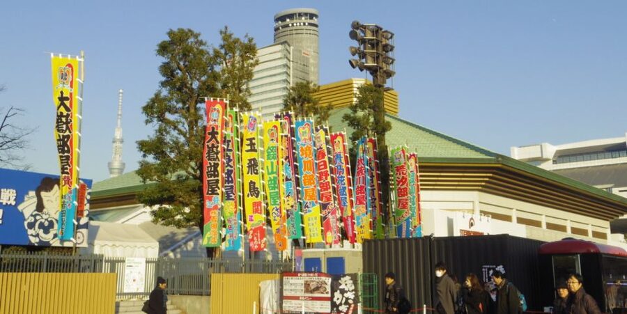 Tokyo: Sumo Tournament Tour with Chair Seat Tickets - Key points at a glance