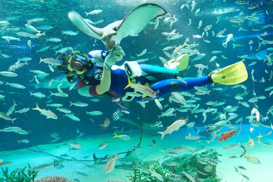 Tokyo: Sunshine Aquarium Entry Ticket - The Penguins in the Sky tank
