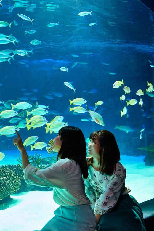 Tokyo: Sunshine Aquarium Entry Ticket - Who will enjoy this aquarium most