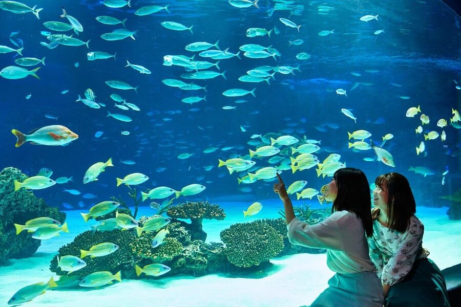 Tokyo: Sunshine Aquarium Entry Ticket - An oasis above Tokyo’s city streets
