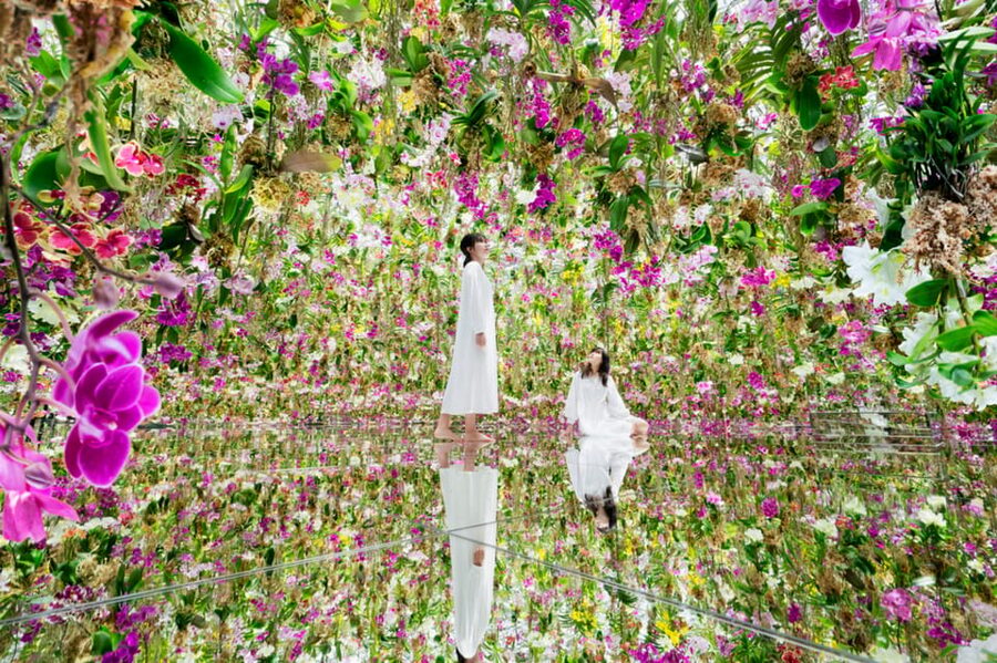 Tokyo: teamLab Planets TOKYO Digital Art Museum Entry Ticket - The Water Gallery: the most talked-about part of the visit