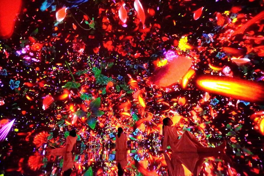Tokyo: teamLab Planets TOKYO Digital Art Museum Entry Ticket - Falling flowers and Flower Universe: slow down and look upward