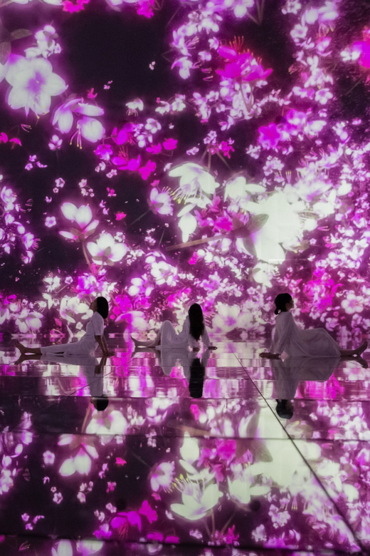 Tokyo: teamLab Planets TOKYO Digital Art Museum Entry Ticket - The garden and orchid rooms: beauty with a little movement