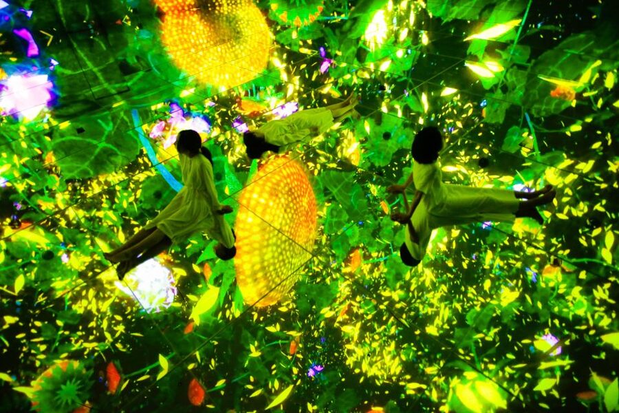 Tokyo: teamLab Planets TOKYO Digital Art Museum Entry Ticket - Who should skip teamLab Planets