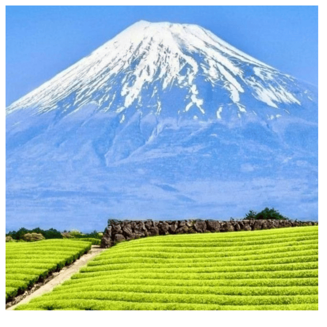 “Tokyo to Mt. Fuji & Hakone: Private Customizable Day Trip” - Why a private car makes this route worthwhile