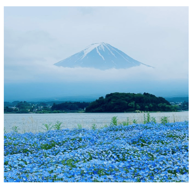 “Tokyo to Mt. Fuji & Hakone: Private Customizable Day Trip” - Lake Kawaguchiko and the Fuji Five Lakes area