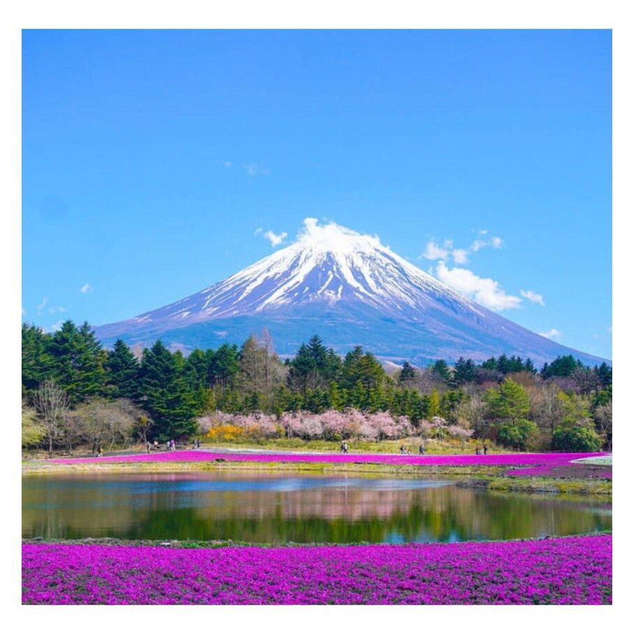 “Tokyo to Mt. Fuji & Hakone: Private Customizable Day Trip” - A realistic 10-hour schedule