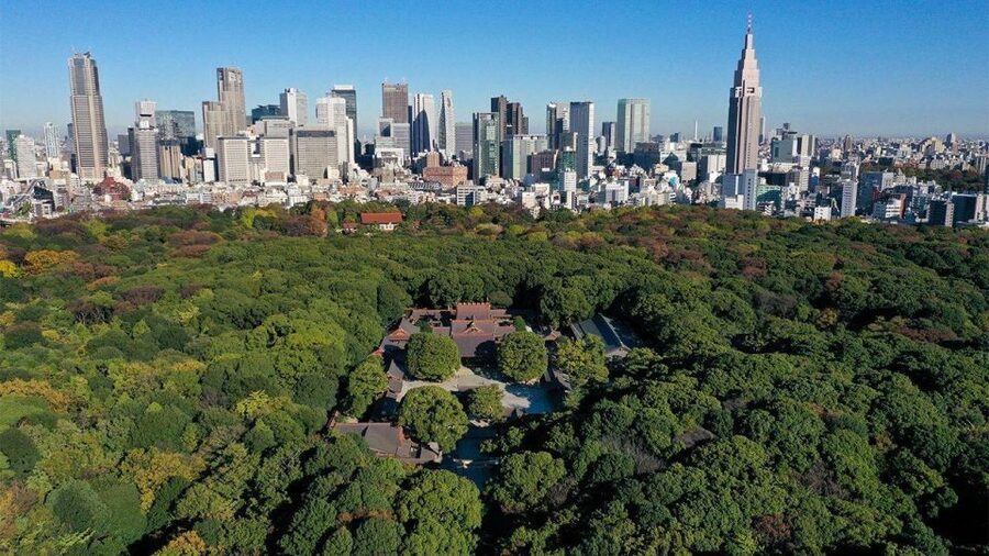 Tokyo: Tokyo Private Day Tour With Guide - Meiji Jingu: forest, torii gates, and a slower pace