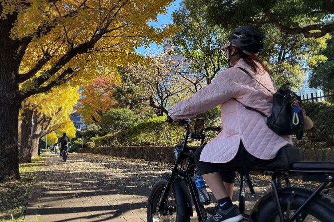 Tokyo Top Highlights 3h Guided E-bike Tour - The Tokyo Bay Route after sunset
