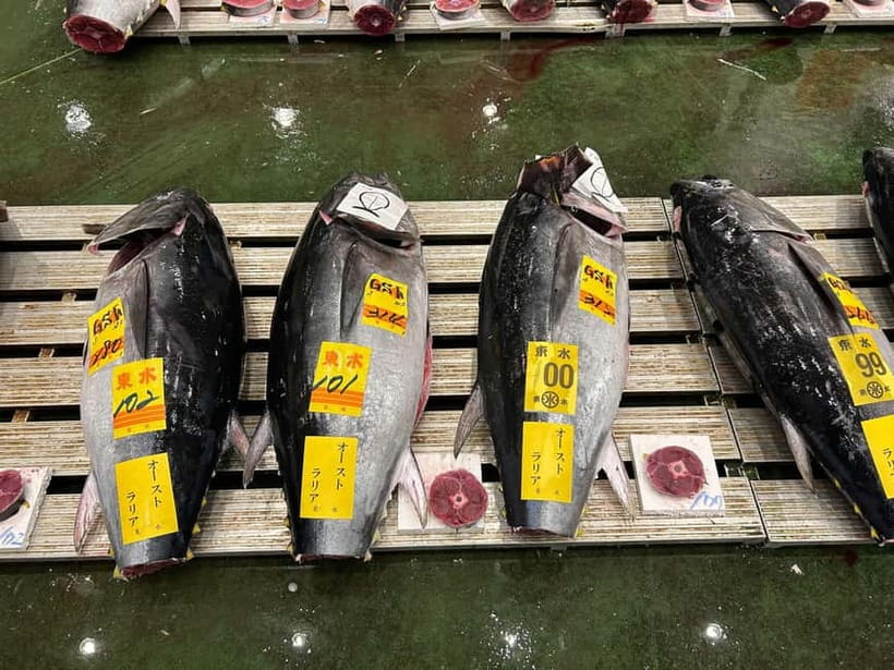 Tokyo Toyosu Tuna Auction + Breakfast (Sushi Dai or Bentomi) - Choosing Between the Third-Floor Gallery and Ground-Level Deck