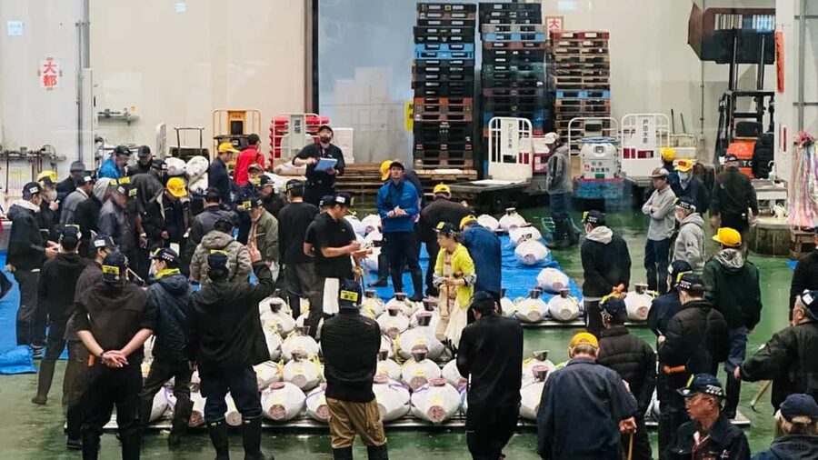 Tokyo: Toyosu Tuna Auction &Tsukiji Market Gourmet Adventure - Tsukiji from 8:00 to 8:30