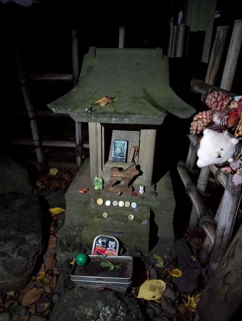 Tokyo: True Crime And Ghost Stories Tour - Key points before you book
