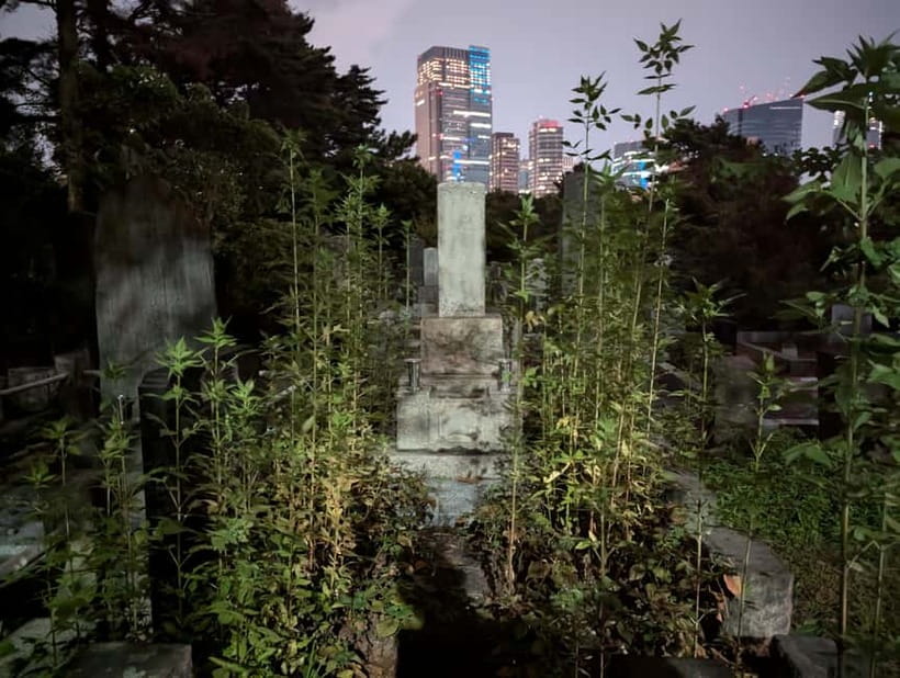 Tokyo: True Crime And Ghost Stories Tour - Is $35 a fair price?