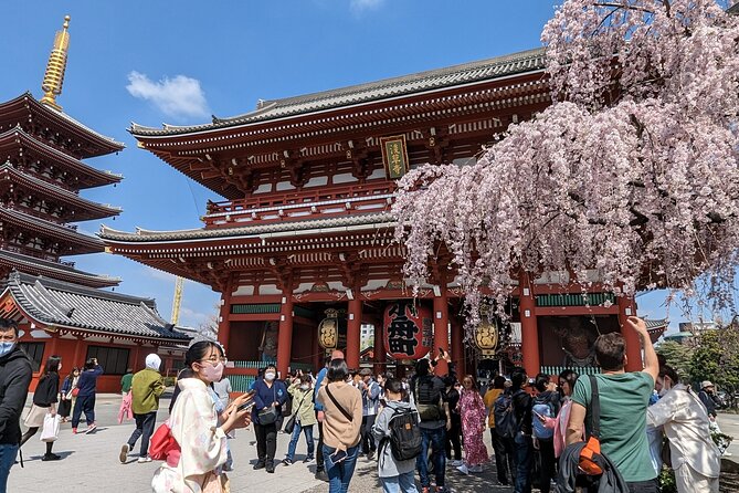 Tokyo VIP Guided Private Car Tour with Optional Airport Transfer - Key things to know before booking