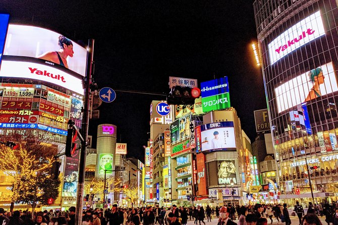 Tokyo VIP Guided Private Car Tour with Optional Airport Transfer - What this Tokyo tour is really offering