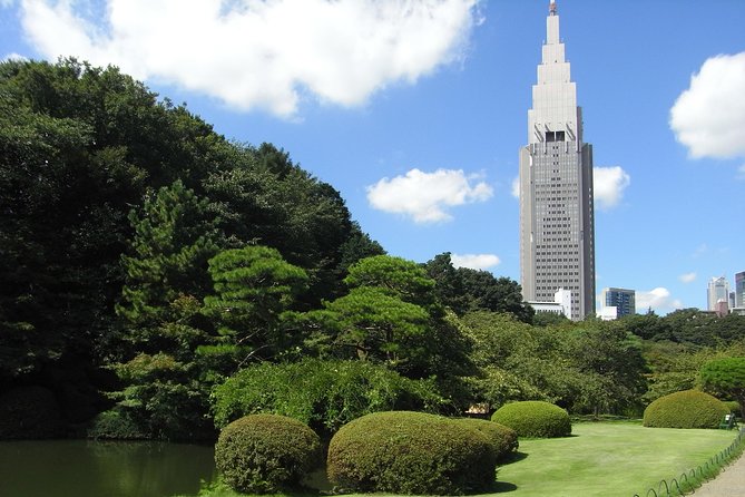 Tokyo VIP Guided Private Car Tour with Optional Airport Transfer - Shinjuku, Kabukicho, and Tokyo after dark