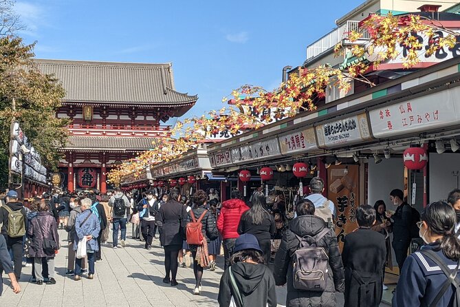 Tokyo VIP Guided Private Car Tour with Optional Airport Transfer - Shibuya and the Hachiko meeting point