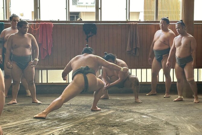 Tokyo: Visit Sumo Morning Practice with English Guide - Why morning practice is better than a tournament for some people