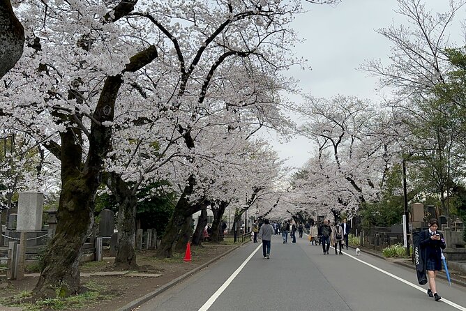 Tokyo : Yanaka and Nezu-Old Traditional Town Cultural Experience - Yanaka’s Meiji, Taishō, and Shōwa-era streets