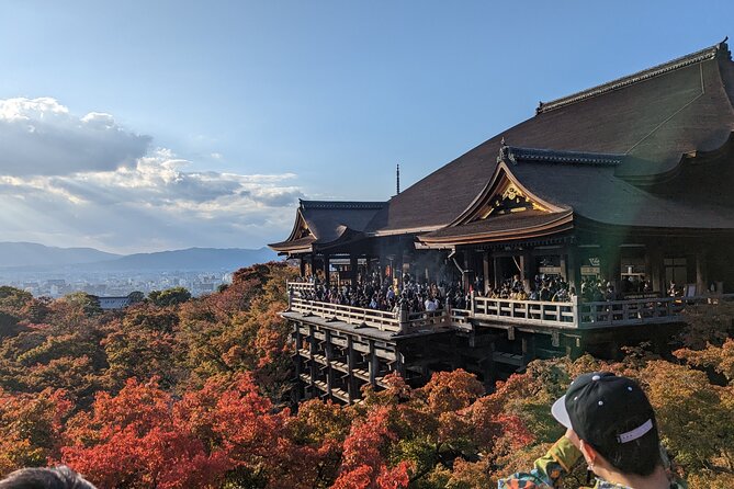 Tour in Kyoto with a Goverment Certified Tour Guide - Key Points to Know Before You Book