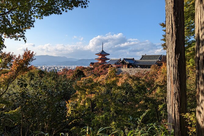 Tour in Kyoto with a Goverment Certified Tour Guide - What This Kyoto Day Is Trying to Do