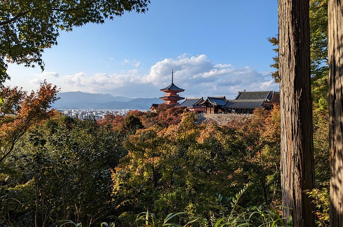 Tour in Kyoto with a Goverment Certified Tour Guide - Kinkaku-ji: The Golden Pavilion at a Crowded Hour
