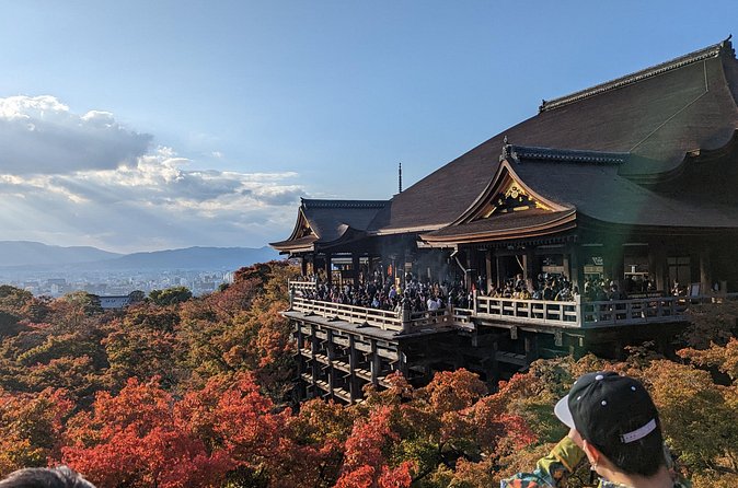 Tour in Kyoto with a Goverment Certified Tour Guide - Arashiyama and Tenryu-ji: Bamboo, Zen, and a Short Clock
