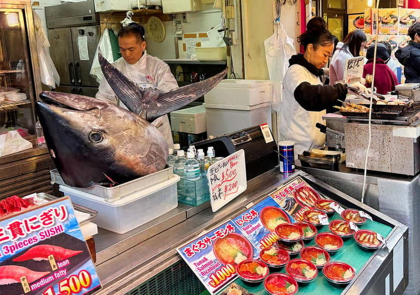 Tsukiji Fish Market: Street Food & Culture Walking Tour - Group size, access, and the pace of the morning