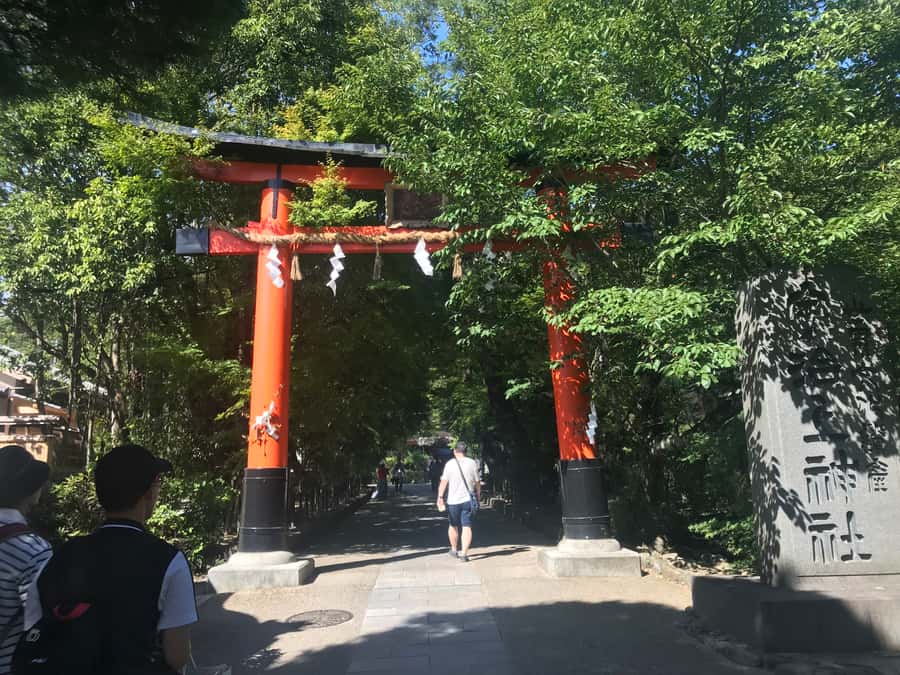 Uji: Green Tea Tour with Byodoin and Koshoji Temple Visits - Byodo-in and the Phoenix Hall