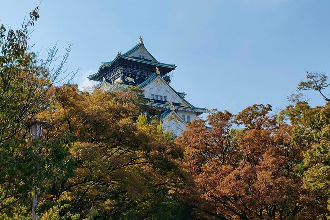 Ultimate Osaka Walking Tour: Castle, Dotonbori & Hidden Gems - Walking the 600-meter Shinsaibashi-suji arcade