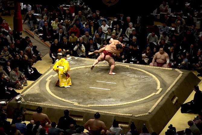 Ultimate Sumo Tournament: Tokyo, Osaka, Nagoya, Fukuoka - The difference between standard and private seating