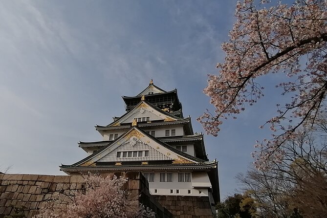 Walking Tour of Osaka's 5 Must-See Sights, with Ramen for Lunch - Why this makes a useful first day in Osaka