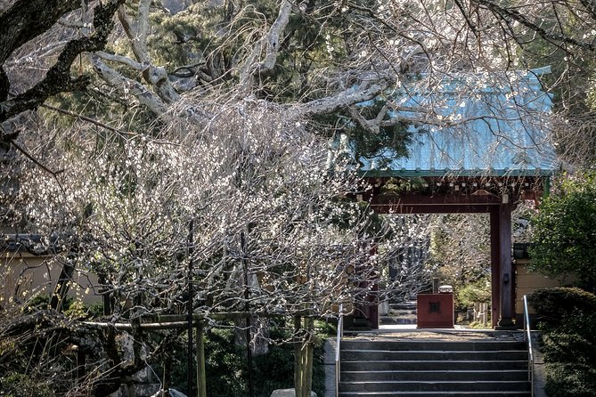 When Emperors Reigned and Shoguns Ruled - The Great Buddha of Kamakura