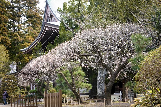 When Emperors Reigned and Shoguns Ruled - The price and who gets good value