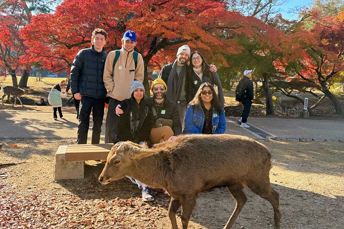 World Heritage Kyoto & Nara Uji Authentic Matcha Experience - Why this Nara and Uji day trip works